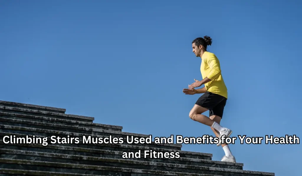 Climbing Stairs Muscles Used and Benefits for Your Health and Fitness