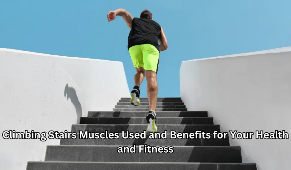 Climbing Stairs Muscles Used and Benefits for Your Health and Fitness