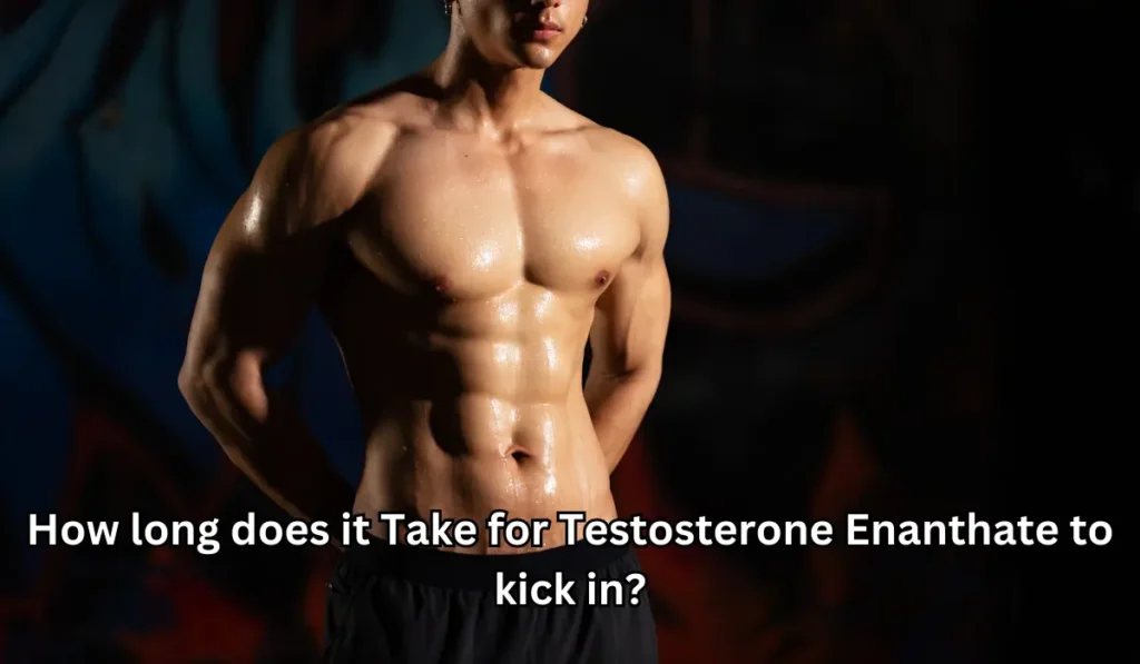 How long does it Take for Testosterone Enanthate to kick in?