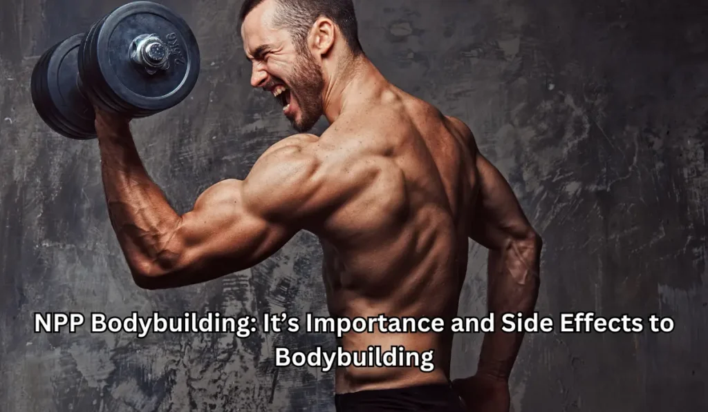 NPP Bodybuilding: It’s Importance and Side Effects to Bodybuilding