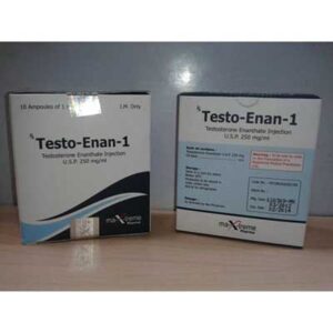 Maxtreme Testo-Enan amp